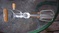 Click to view classifieds LAYOEPWN