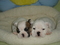 Click to view classifieds BZJJNBPR