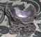 Click to view classifieds CWCFPCPX