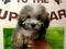 Click to view classifieds NWPSFKHJ