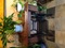 Click to view classifieds SFASYWSU