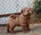Click to view classifieds DFKUPBNW