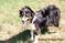 Click to view classifieds ZEELNTDY