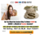 Click to view classifieds TJPQXAER