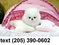 Click to view classifieds ENBDOPOJ