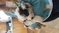 Click to view classifieds QTWOYMCU