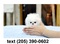 Click to view classifieds LAXOWLDC