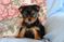 Click to view classifieds GBZBMNTN