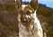 Click to view classifieds CWBZDTSY