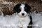 Click to view classifieds KYBLEJUR