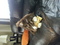 Click to view classifieds VCKCNTQR