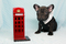 Click to view classifieds HLUCUZOM
