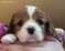 Click to view classifieds BPGWRZVQ