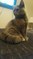 Click to view classifieds OTFKFDRS