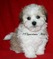 Click to view classifieds VTEFMUYT