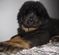 Click to view classifieds NQKCCEVC