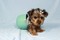Click to view classifieds QMQUFQXQ