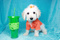 Click to view classifieds KXSGMFYE