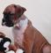 Click to view classifieds WCMYUWDN