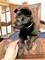 Click to view classifieds KCNYODXJ