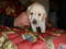 Click to view classifieds CKKLPYON