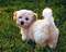 Click to view classifieds XDNORYUQ