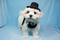 Click to view classifieds WTEVJXUE