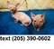 Click to view classifieds HETKGQNJ