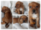 Click to view classifieds JUGFHVDY