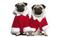 Click to view classifieds MGDUXFSH