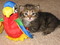 Click to view classifieds RBMMHCZQ