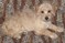 Click to view classifieds DLMCFZSC