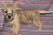 Click to view classifieds RKEOUBQH