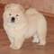 Click to view classifieds YRNFNNLS