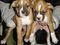 Click to view classifieds EHRFCKKL