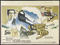 Click to view classifieds LBAQTWYK