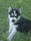 Click to view classifieds ADSTBKPK