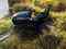 Click to view classifieds FLSRXRJE