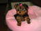 Click to view classifieds AGODOYLF