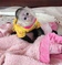 Click to view classifieds UOULZOMW
