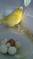 Click to view classifieds ZDYYGHTW