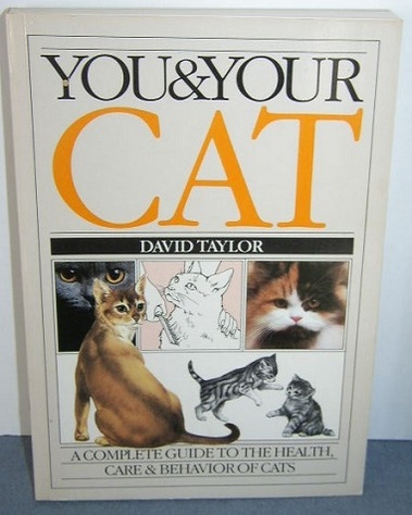 You & Your Cat