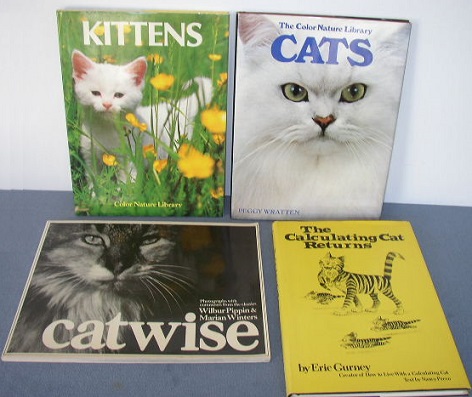 Kittens & Cats