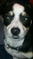 Click to view classifieds WOBPYDRV