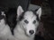 Click to view classifieds FBZHUCAH