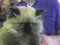 Click to view classifieds ZBAKCSKD