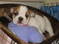 Click to view classifieds TEEJBNVH