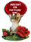 Click to view classifieds JTGSEQZC