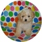 Click to view classifieds ACNUAMBH