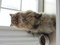 Click to view classifieds WHKEYLTT